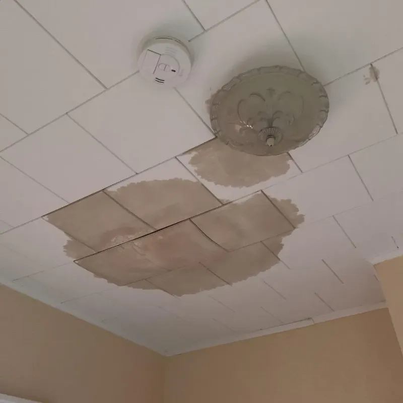 Ceiling Water Damage Repair in Spanish Fort, AL