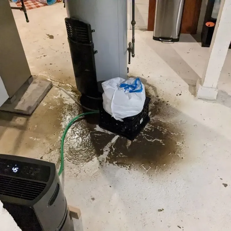Sewage Backup Cleanup Service in Spanish Fort, AL